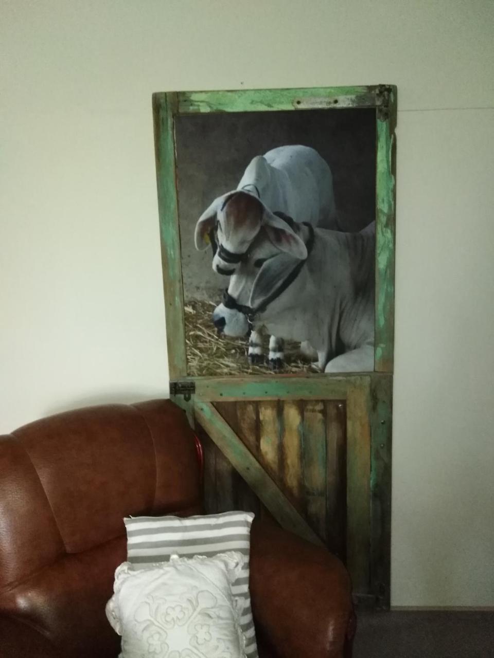 Die Windpomp Guesthouse Gobabis Extérieur photo